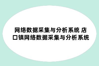 网络数据采集与分析系统 店口镇网络数据采集与分析系统